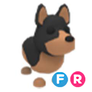 NFR Australian Kelpie / НФР Австралийский Келпи