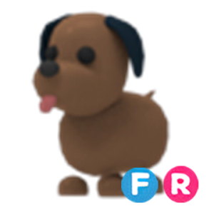 FR Chocolate Labrador / ФР Шоколадный лабрадор